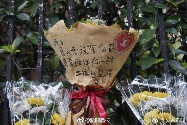 金球并不总给最佳？斯内德：是的，里贝里和莱万都配但有其他影响
